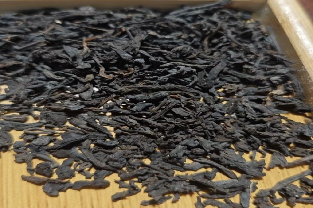 探秘六堡茶核心产区：苍梧县山塘岐，正宗六堡茶产地批发的首选