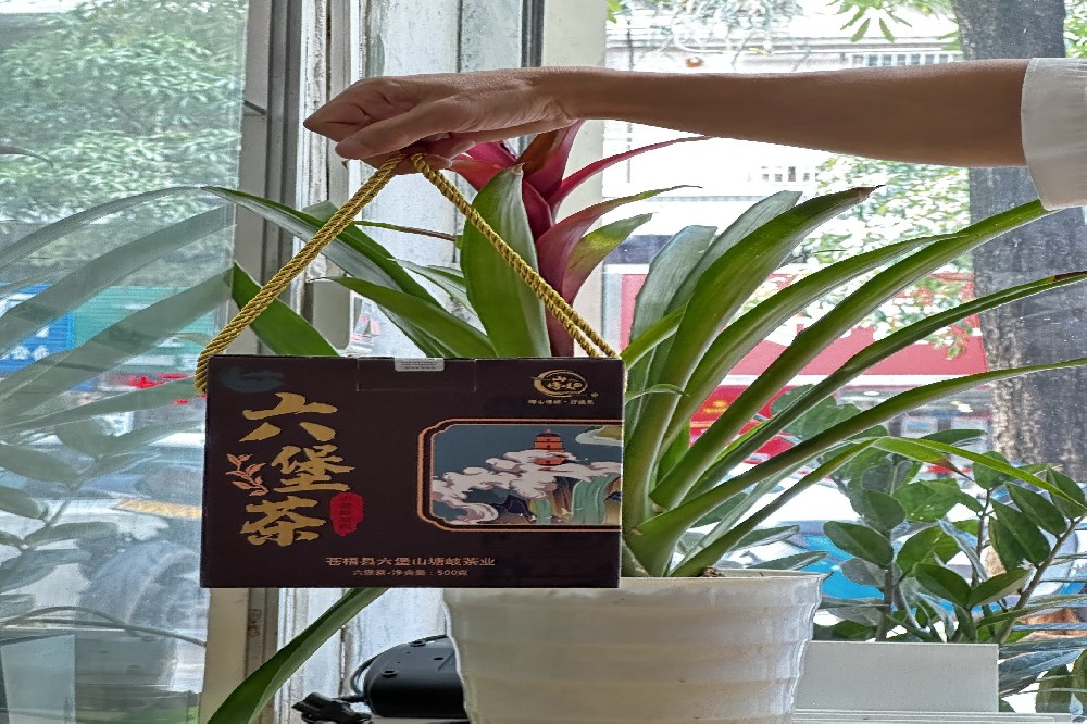 寻味六堡，探源原产地：一杯山塘岐里的岁月陈香