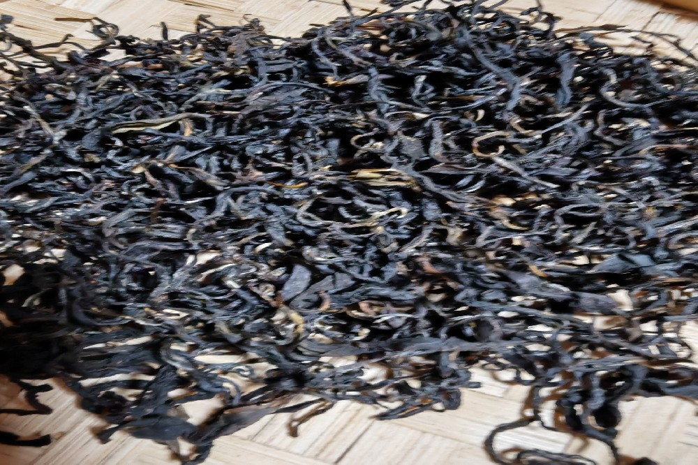 广西梧州六堡茶厂家批发：探秘山塘岐六堡茶的独特魅力