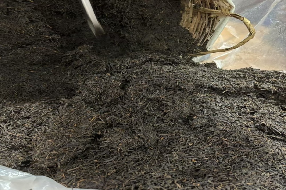 寻味六堡茶：探源广西梧州核心产区，品味千年传承的陈香醇韵