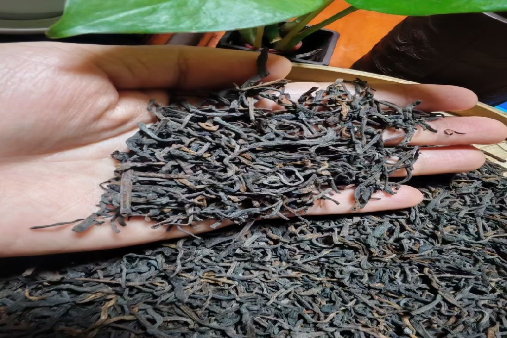 养胃六堡茶：来自苍梧核心产区的古法滋养，温和护胃更健康