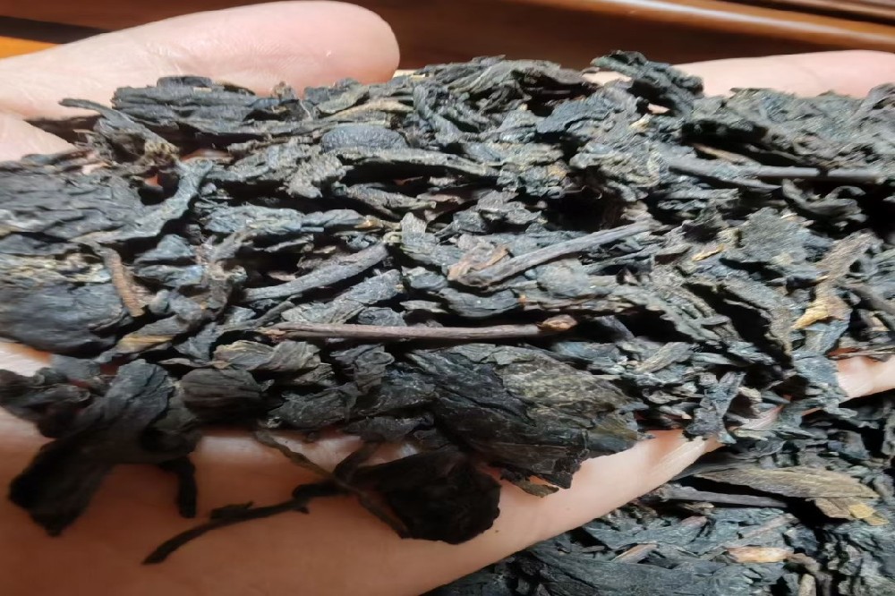 六堡核心产区古法农家茶：山塘岐，一杯源自荒野的自然本味